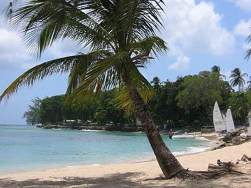 Starfish Discovery Bay 霍尔敦 外观 照片